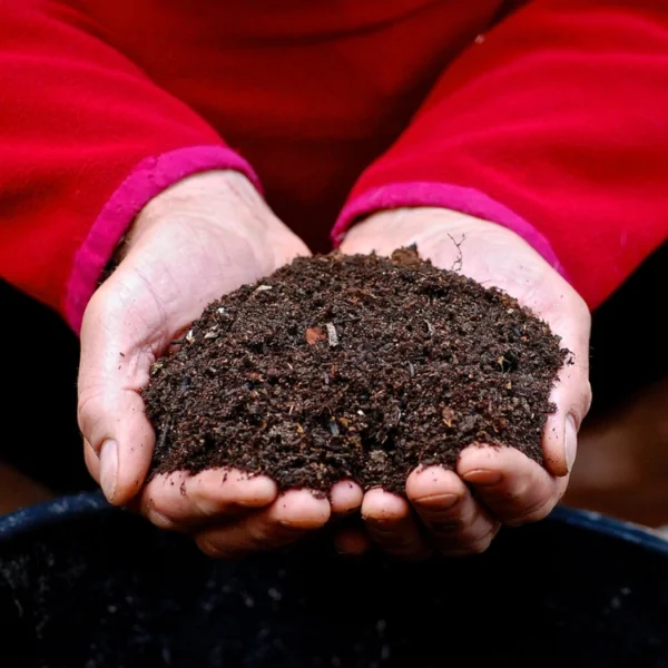 Organic Soil Conditioner - Image 2