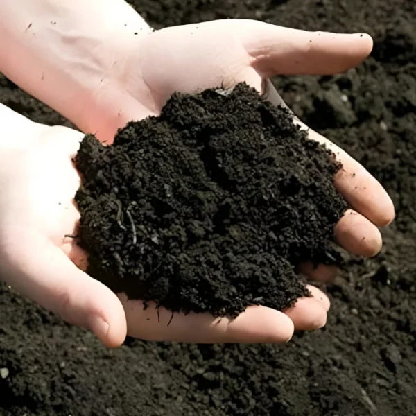 Organic Soil Conditioner - Image 3